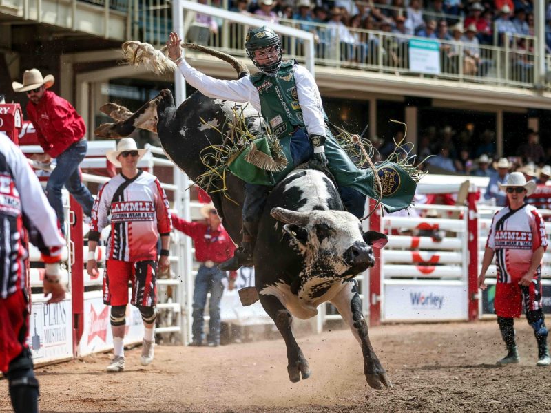 Calgary Stampede