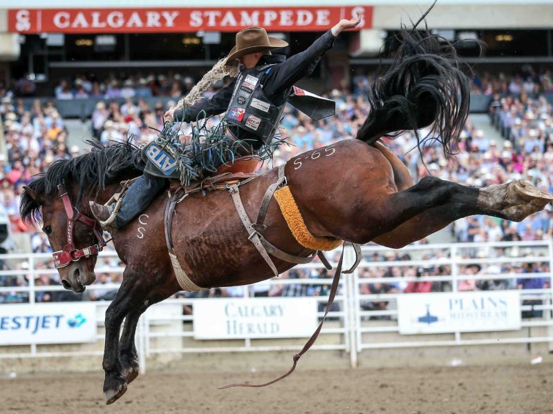 Calgary Stampede