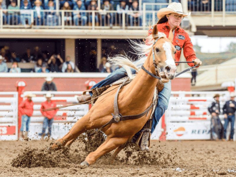 Calgary Stampede