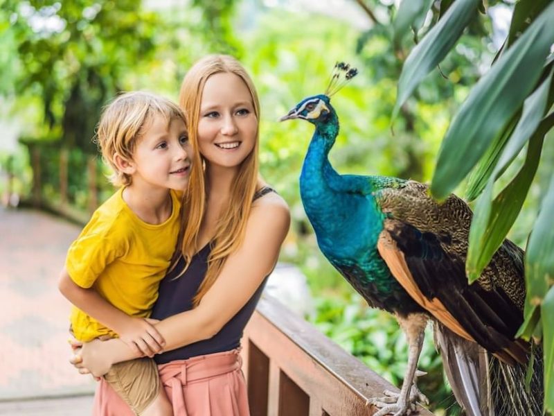 Calgary Zoo