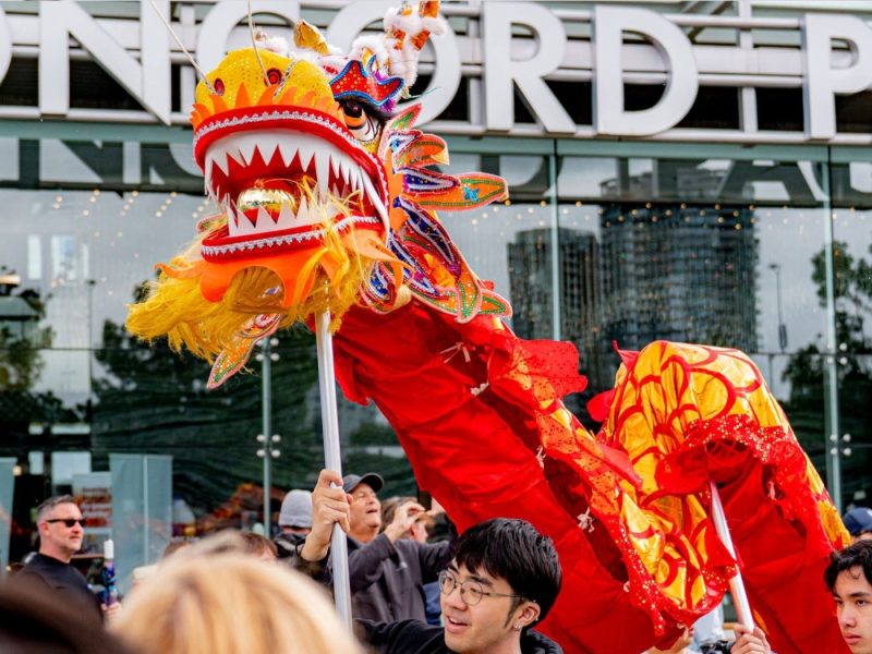 Concord Pacific Dragon Boat Festival