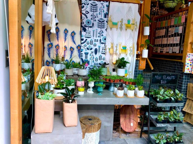 Shop Chop