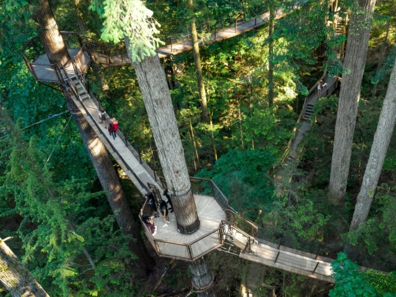 Capilano Suspension Bridge Park