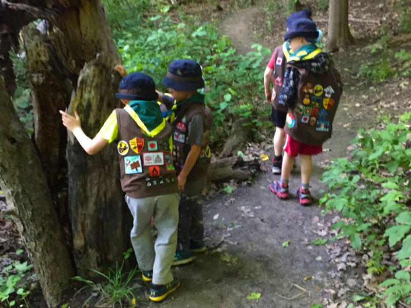 Toronto Scouts Canada
